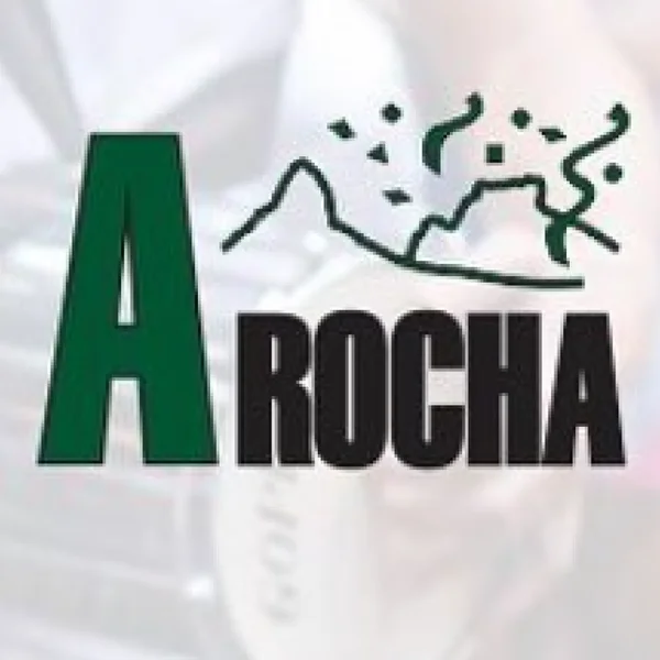 A Rocha da Gávea